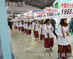 չ�����ʲ��������c���Ӳ�Ͼ