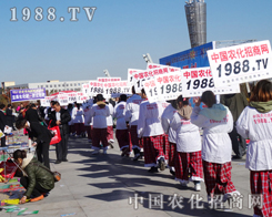 �����F(tu��n)�(du��)���e�O��Ͷ�뵽����������