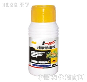 ���r�r��-�������x�p