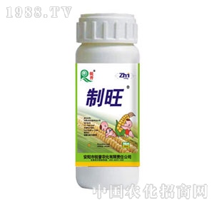 �J��-����