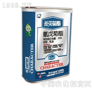 �A�S���r-�������