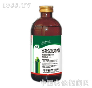 �A�S���r-�ȷ������