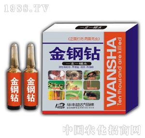 �A�S���r(n��ng)-�����@