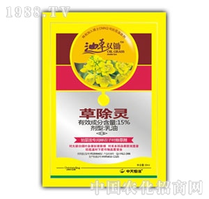 �������-�Ͳ��p�z