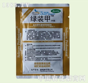 �̴T�S-������