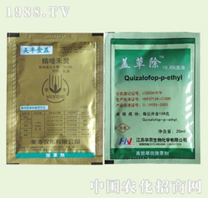 �̴T�S-���w�w�ݳ�