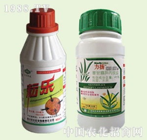 �̴T�S-�Ř����P