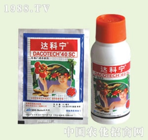 �̴T�S-�_(d��)�ƌ�