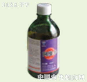 �̴T�S-15%���S��