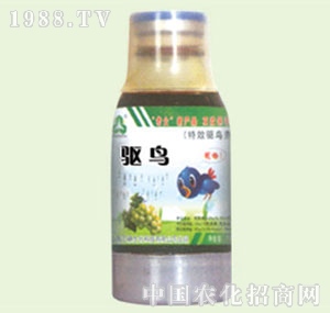 �̴T�S-�(q��)�B(ni��o)