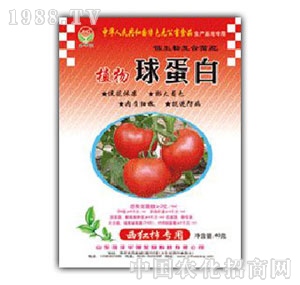 ���A��(qi��ng)-ֲ���򵰰����t����(zhu��n)��