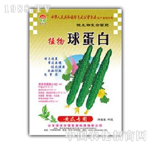 ���A��(qi��ng)-ֲ���򵰰��S�ό�(zhu��n)��