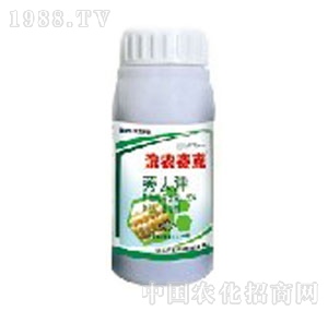 �I�r�Ƽ�-�I�r����