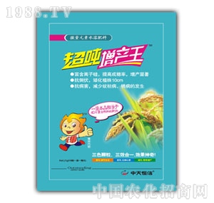 �������-�������a(ch��n)��