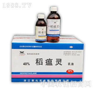 �⻯-30%��40%�����`����