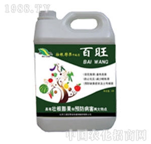 ���ְٲ�-�����_ʩ��