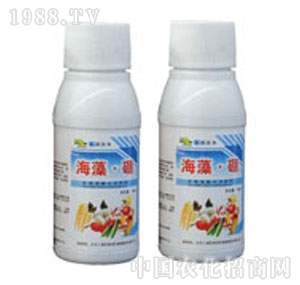 ���ְٲ�-������