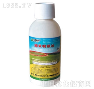 �����_-ϩ�̶�