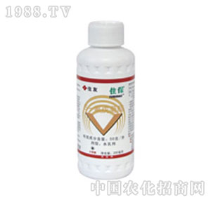 �����_-ס��