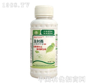 �б�-���r��