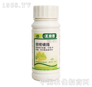 �б�-����