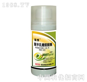 ̩�Z-�۰�����ȩ��ø