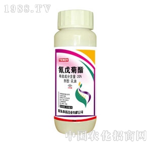 ̩�Z-�������