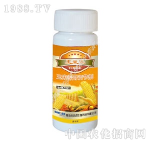 ̩�Z-���ט�