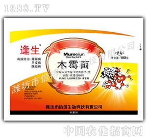 ̩�Z-����ľù��