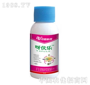 �������r(n��ng)-ѽ����