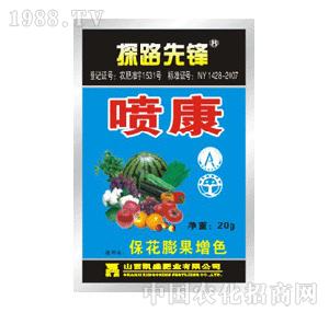 ̽·���h-�������������ɫ