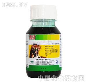 �G���-Ѹ��