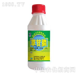 �G���-�ݸ��