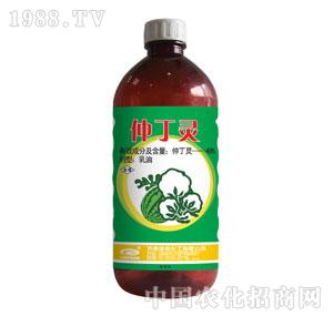 �G���-�ٶ��`