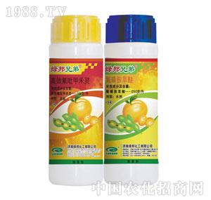 �G���-�G���ֵܽM��