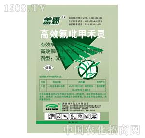 �G���-�w��