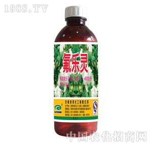 �G���-�����`