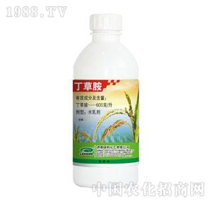 �G���-���ݰ�