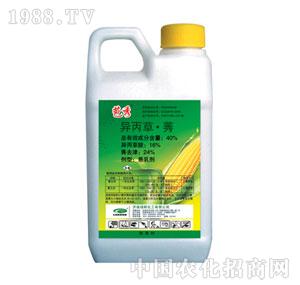 �G���-����