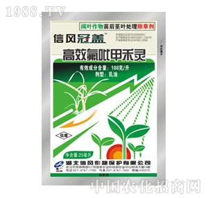 ���L-�����׺��`����