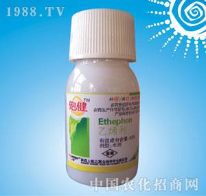 �ϸ�֮·-�(40%��ϩ��ˮ��)