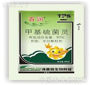 ����ˎ�I(y��)-�ٝ�