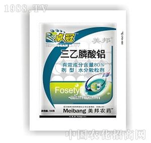 ����ˎ�I(y��)-׿��