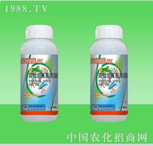 �G������-25���ȷ������