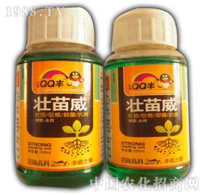 ���-�������������