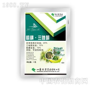 �G�S�rˎ-�������ͪ