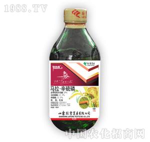 �G�S�rˎ-�@�ػ�