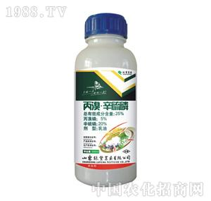 �G�S�rˎ-����������