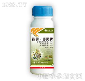 �G�S�rˎ-��η������