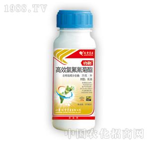 �G�S�rˎ-����